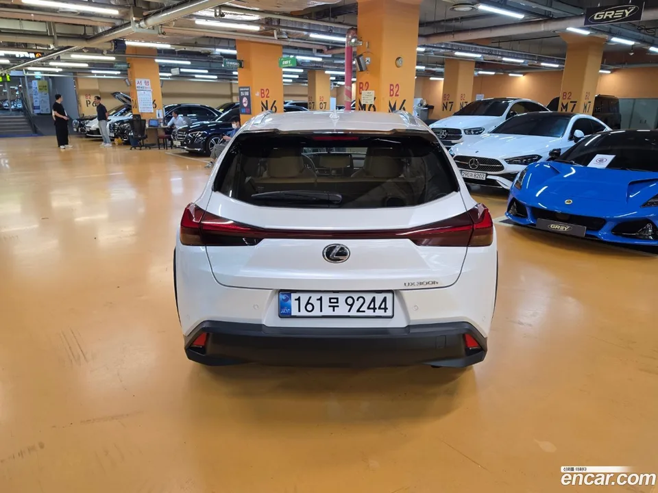 Lexus UX 300h 2.0 2WD 2025 — миниатюра 4