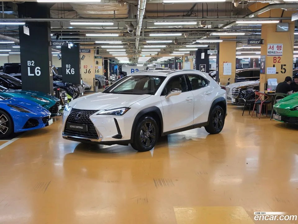 Lexus UX 300h 2025