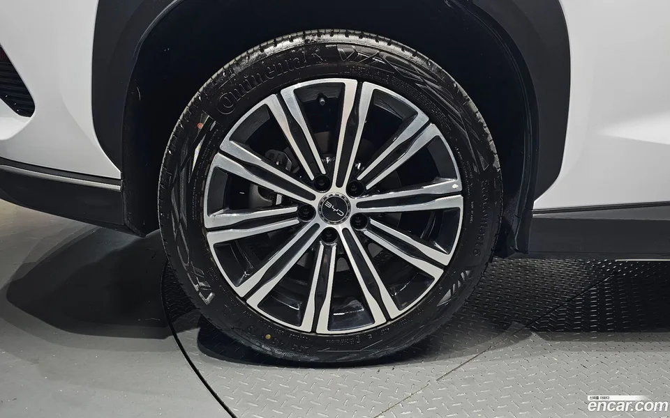 BYD Sealion 7 2025 — миниатюра 2