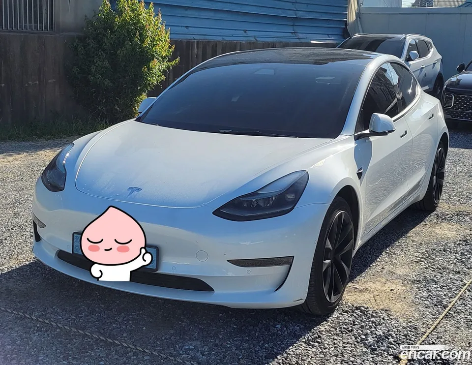 Tesla Model 3 2022