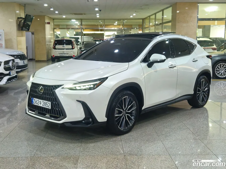 Lexus NX 350h 2024