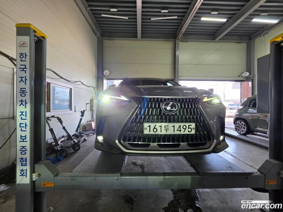 Lexus NX 350h 2022 — photo 1, buy with delivery to Moscow