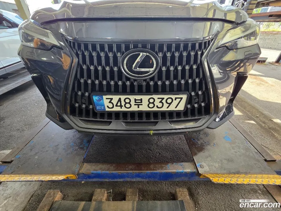Lexus NX 450h+ 2023 — фото 1, купить с доставкой в Москву