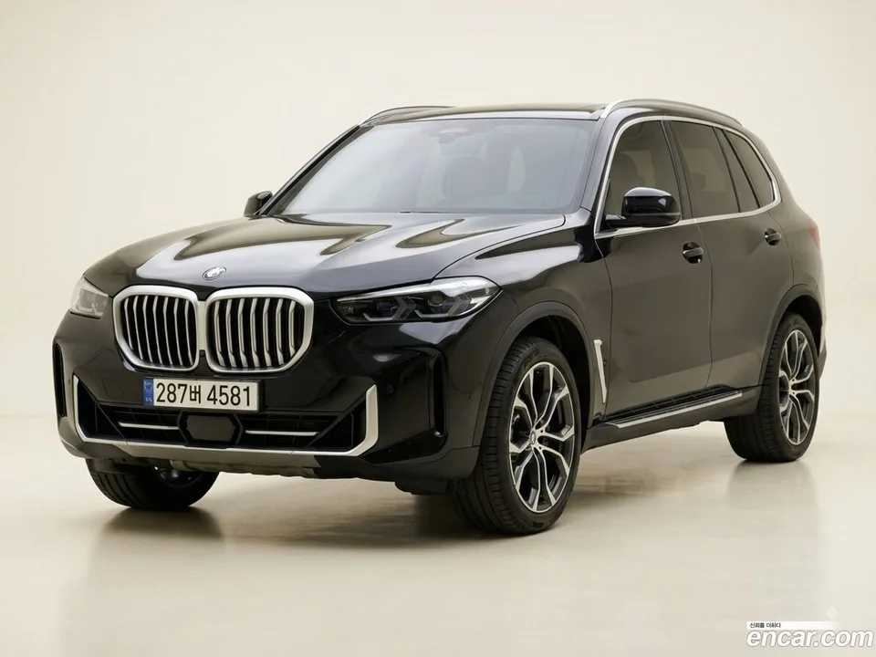 BMW X5 xDrive 30d xLine 2025 — миниатюра 4