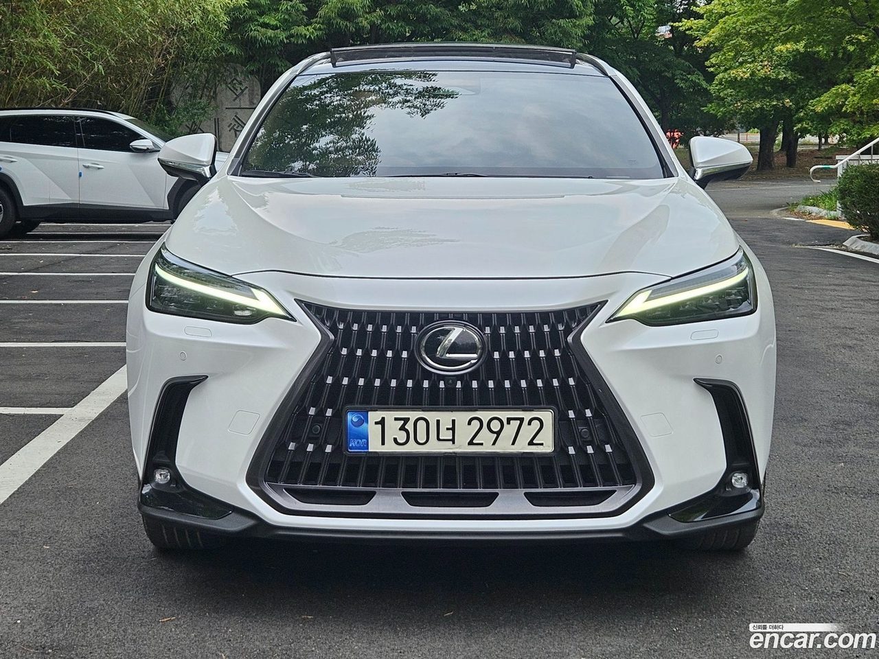 Lexus NX 350h 2023