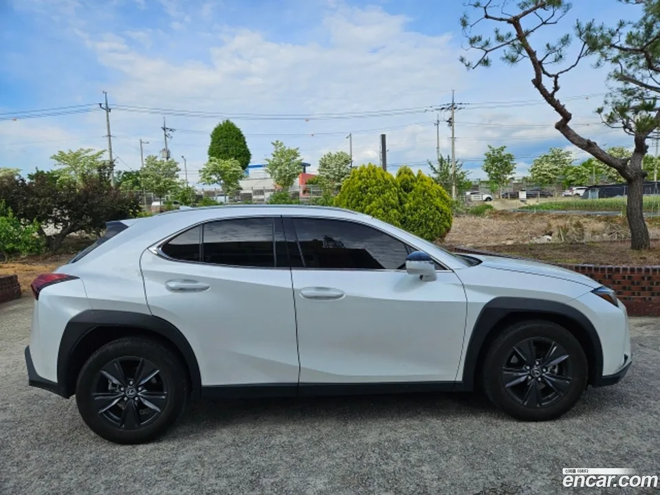Lexus UX 300h 2.0 2WD 2025 — миниатюра 3