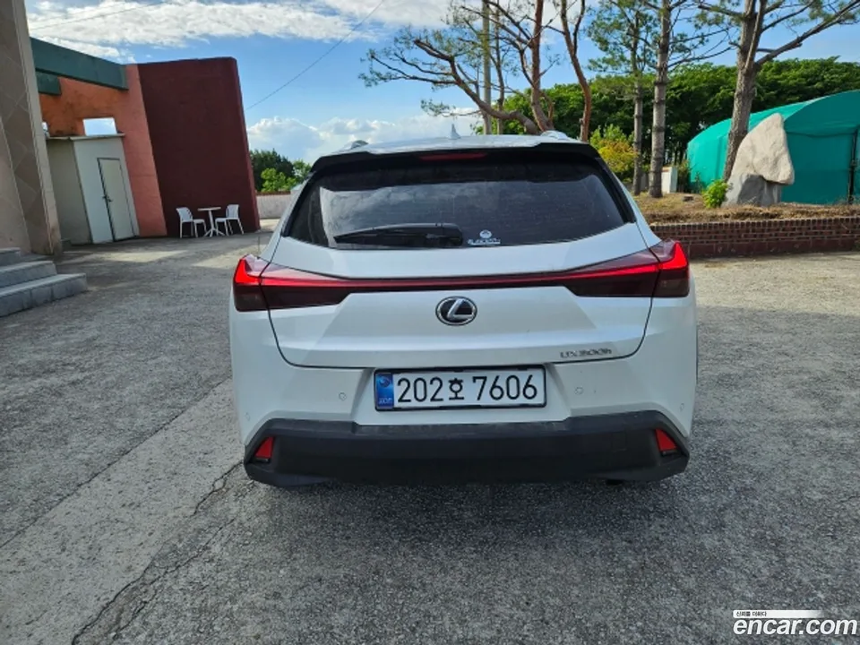 Lexus UX 300h 2.0 2WD 2025 — миниатюра 4