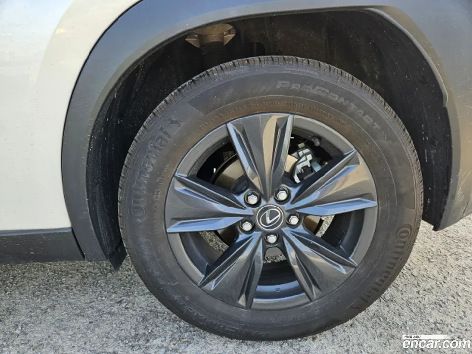 Lexus UX 300h 2.0 2WD 2025 — миниатюра 5