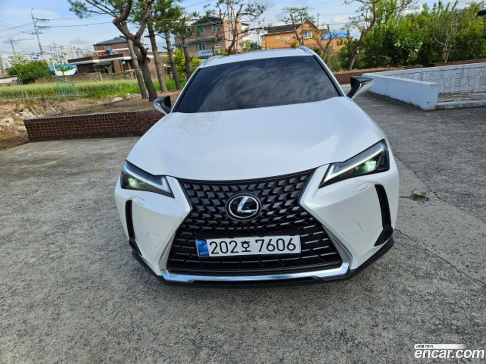 Lexus UX 300h 2025