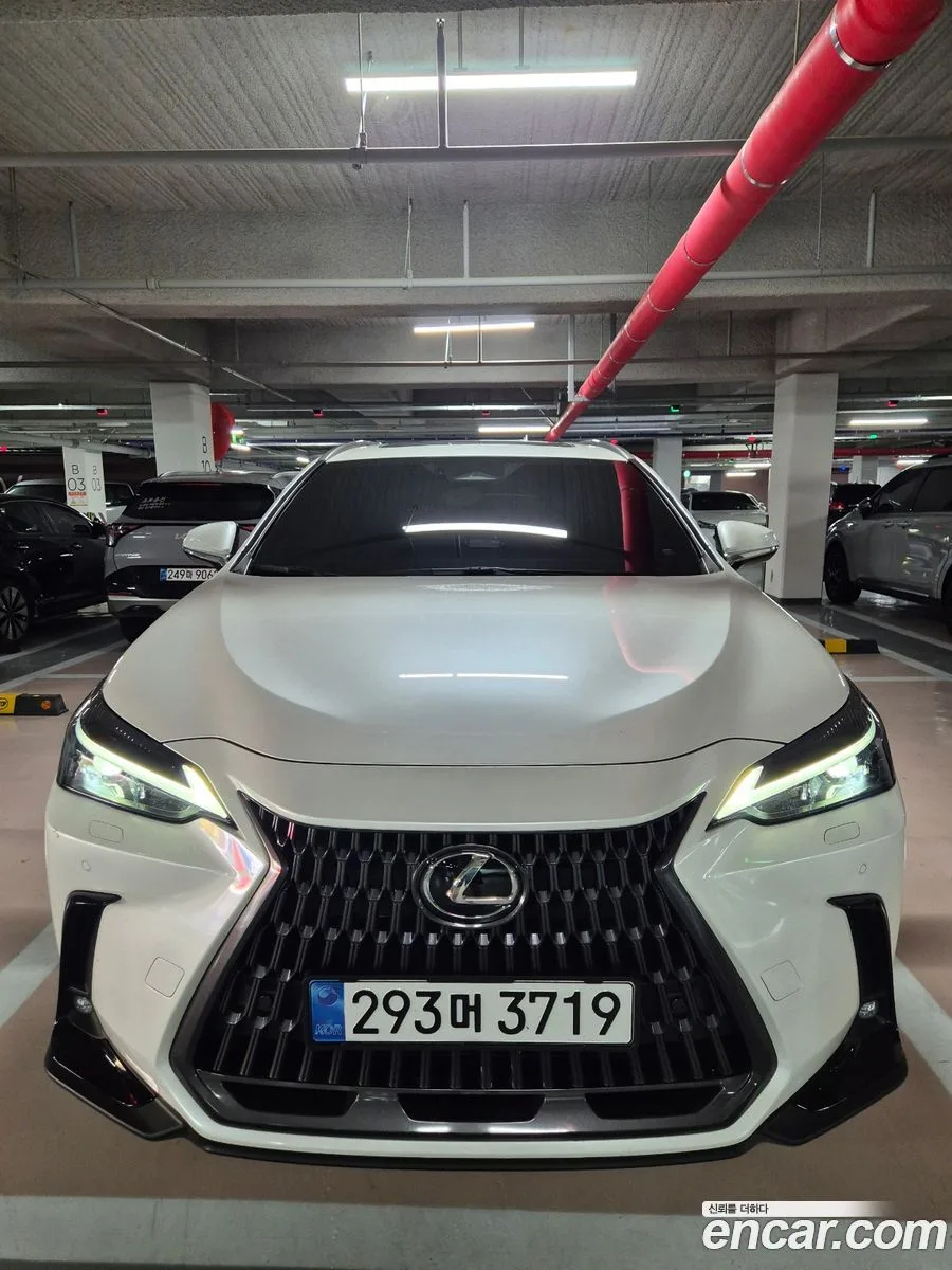 Lexus NX 350h 2025