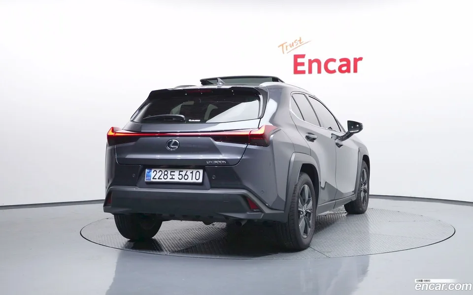 Lexus UX 300h 2.0 2WD 2025 — миниатюра 4
