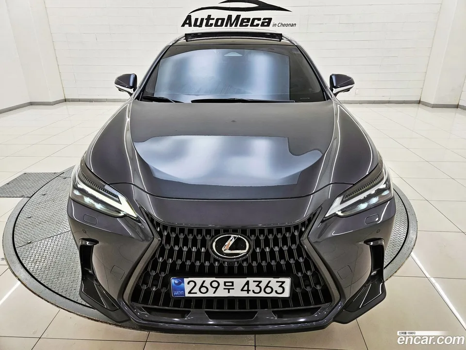 Lexus NX 350h 2024