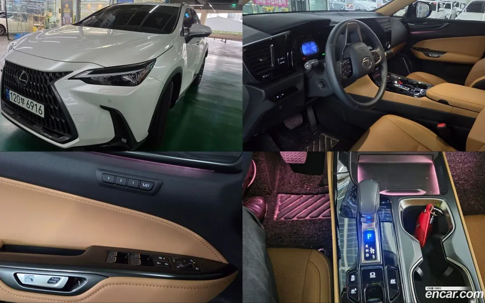 Lexus NX 350h 2023