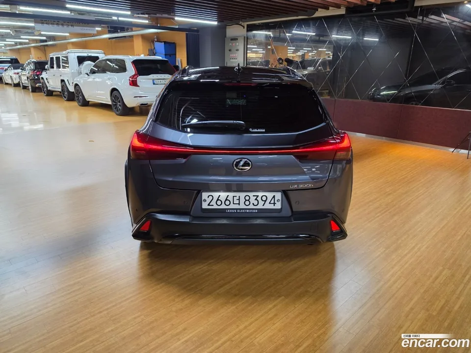 Lexus UX 300h 2.0 F-Sport 2WD 2026 — миниатюра 4