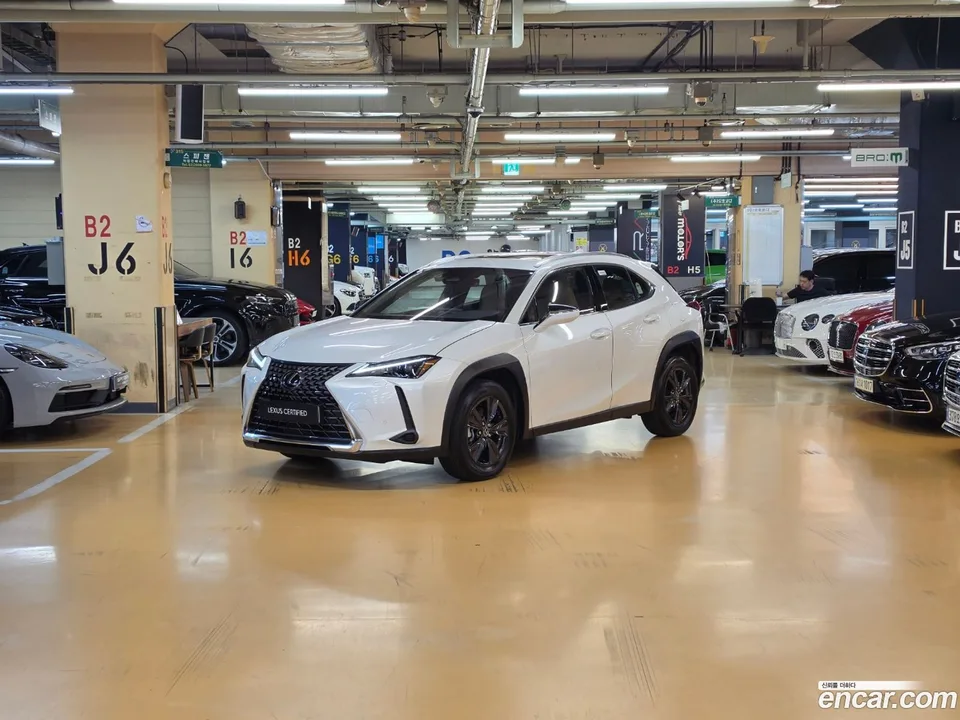 Lexus UX 300h 2025