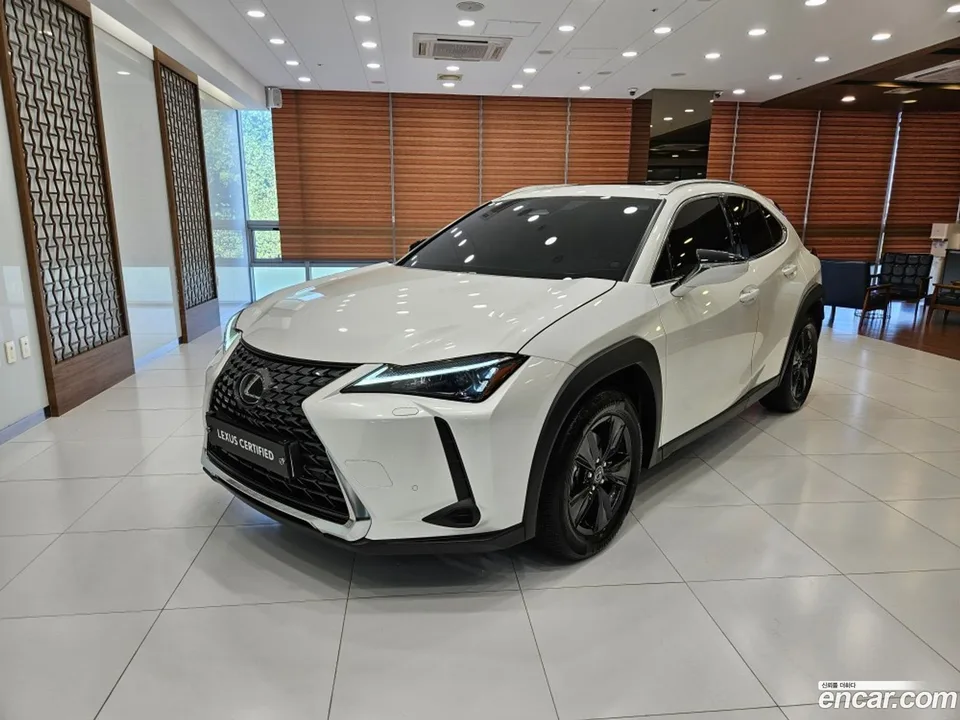 Lexus UX 300h 2025
