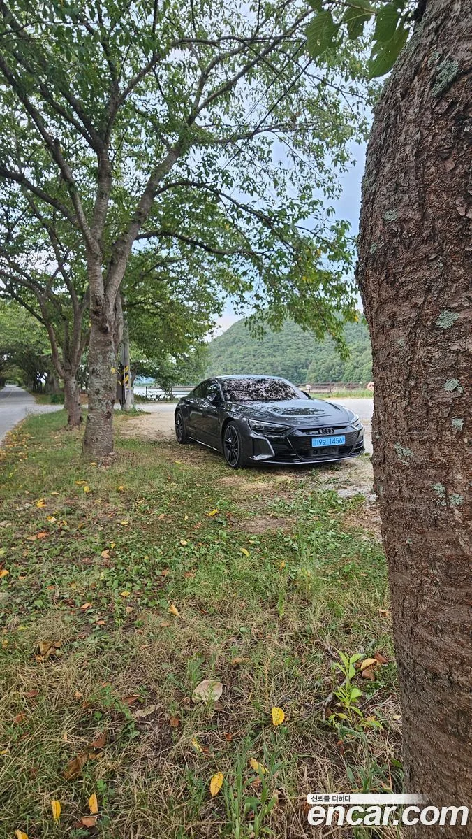 Audi RS e-tron GT 2022