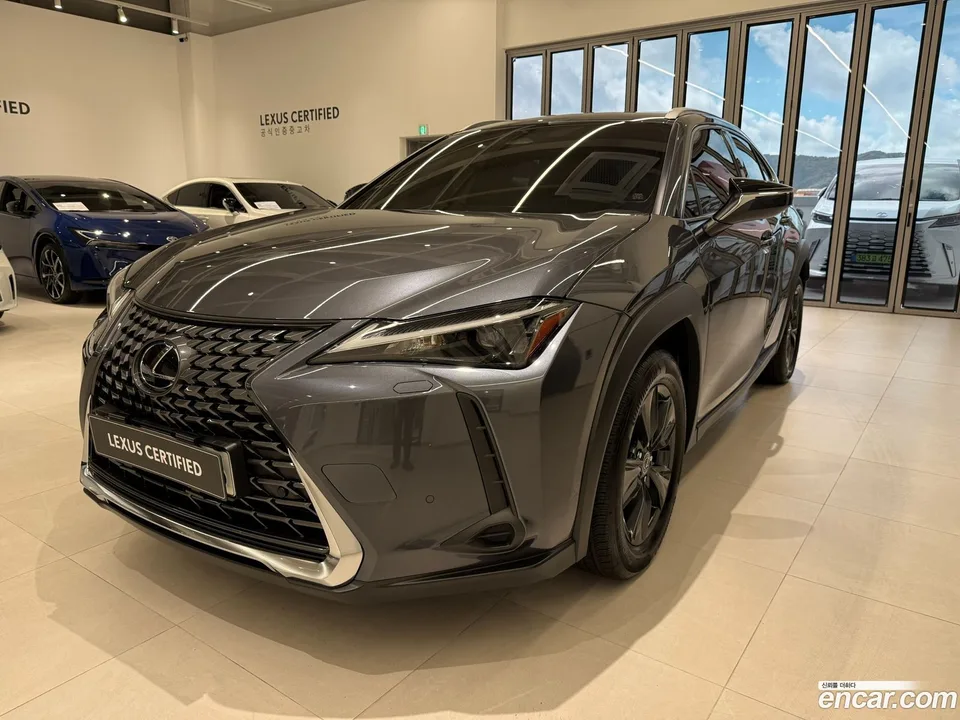 Lexus UX 300h 2025