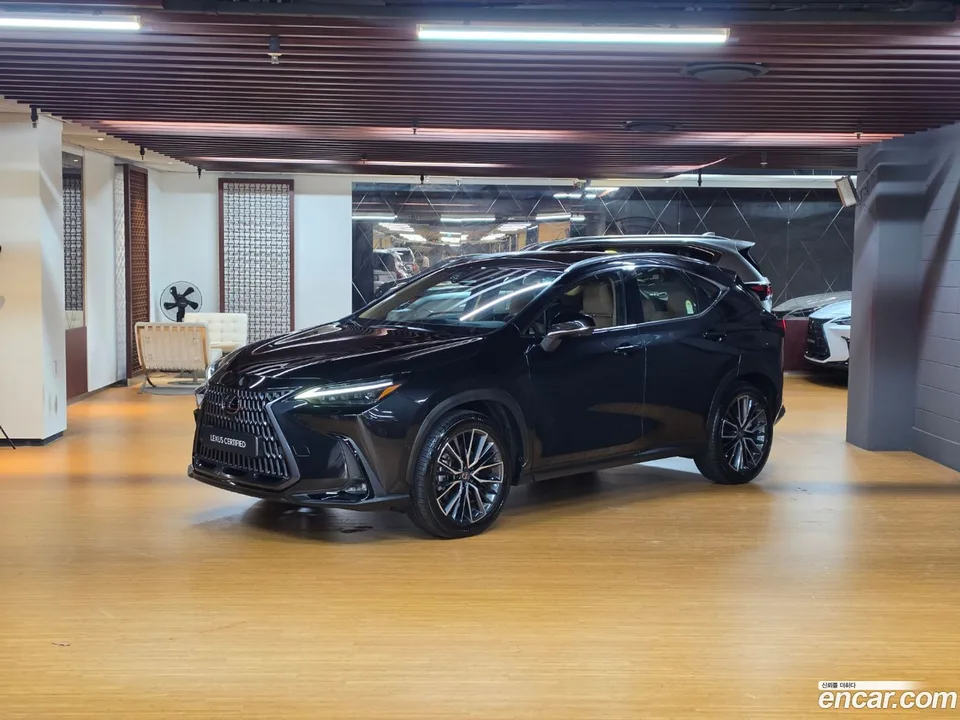 Lexus NX 350h 2026