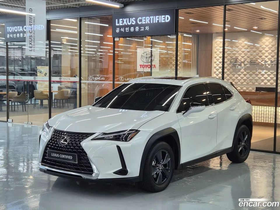 Lexus UX 300h 2025