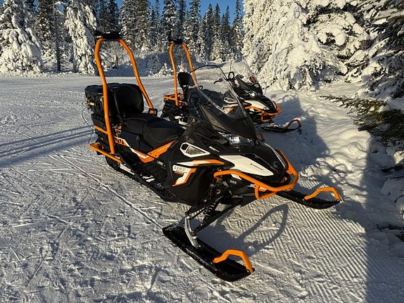 Lynx 59 Ranger Alpine 900 ACE 2022
