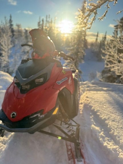 Lynx Shredder 2023 — 2
