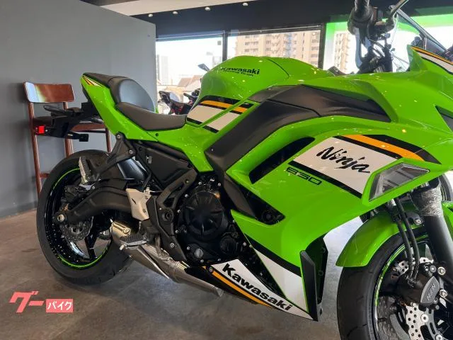 Kawasaki Ninja 650 KRT TFT ETC2.0 ABS 2025 — миниатюра 3