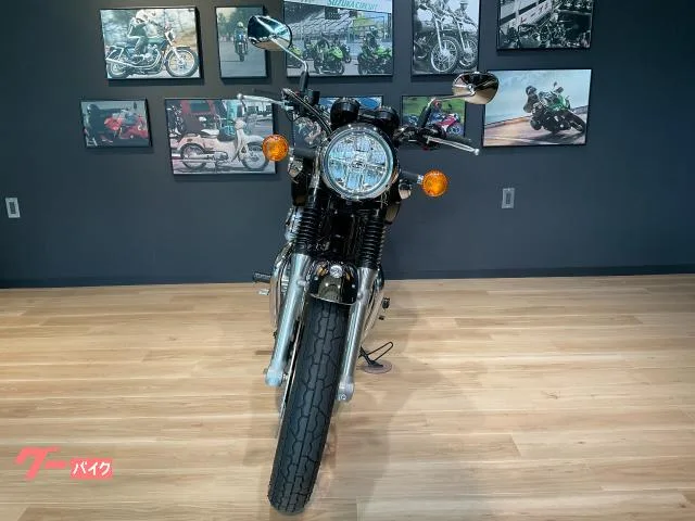 Kawasaki W800 2025 — миниатюра 3