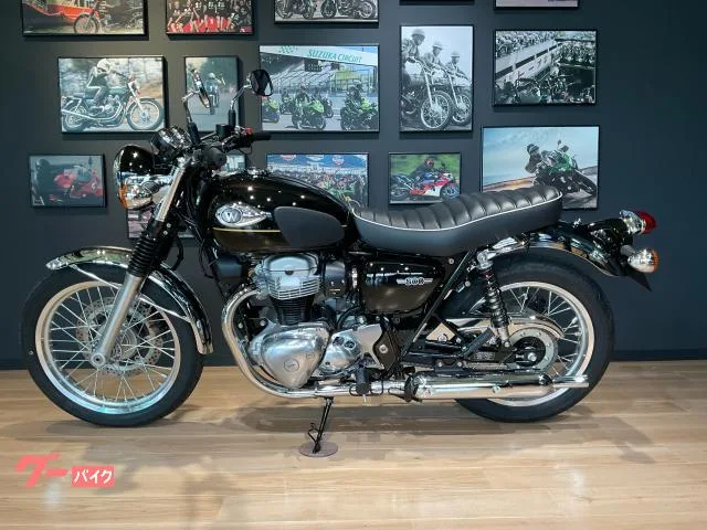 Kawasaki W800 2025 — миниатюра 5