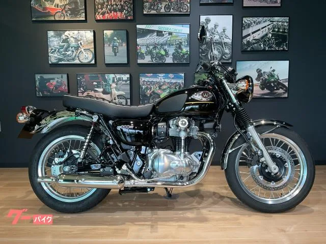 Kawasaki W800 2025 — фото 1, купить с доставкой в Москву