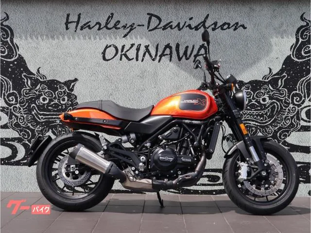 HARLEY-DAVIDSON X500 2024 ABS LED 2024 — фото 1, купить с доставкой в Москву
