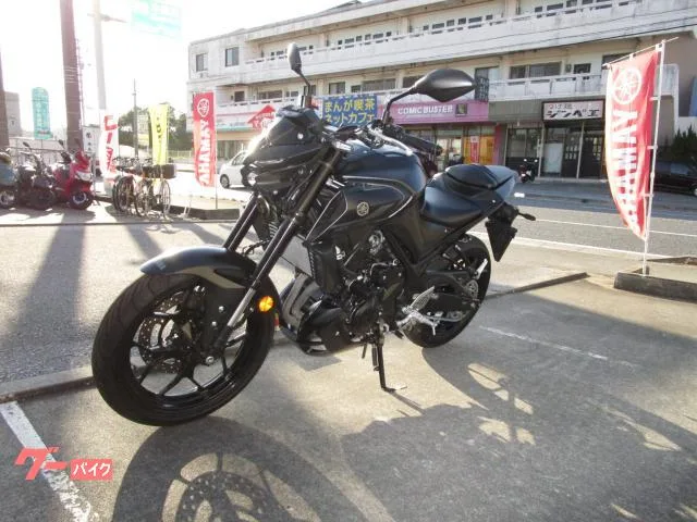 Yamaha MT-25 2022 — миниатюра 3