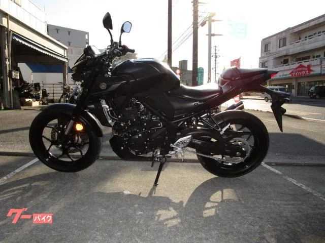 Yamaha MT-25 2022 — миниатюра 4