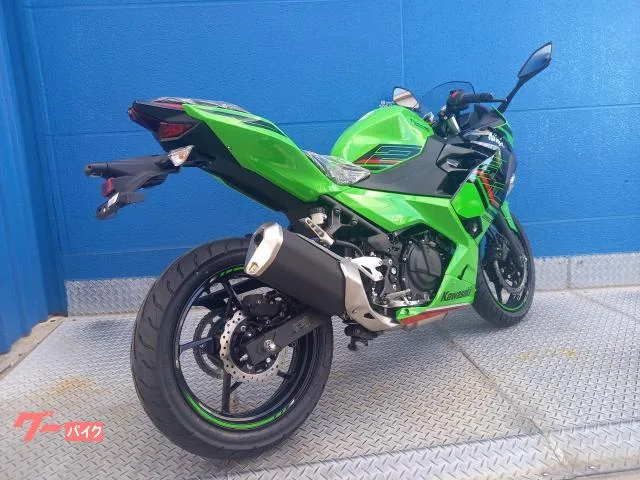Kawasaki Ninja 250 2024 — миниатюра 5