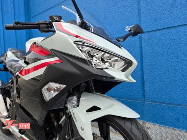 Kawasaki Ninja 400 2026 — миниатюра 4
