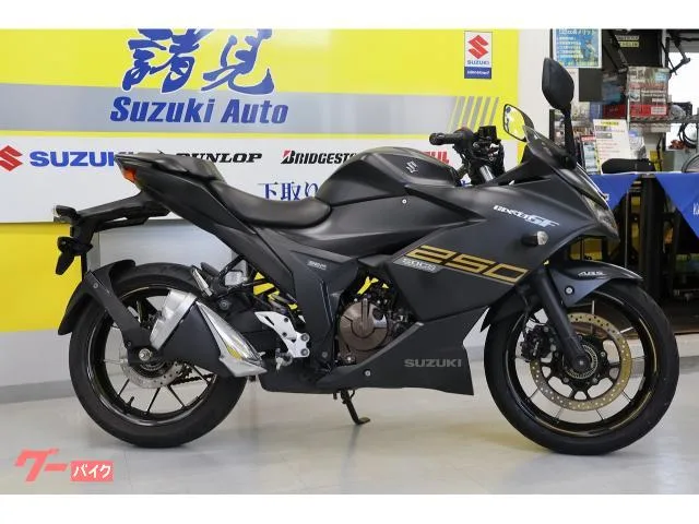 Suzuki GIXXER SF 250 USB 2023 — миниатюра 2