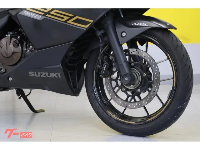 Suzuki GIXXER SF 250 USB 2023 — миниатюра 3