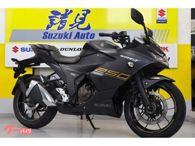 Suzuki GIXXER SF 250 USB 2023 — фото 1, купить с доставкой в Москву