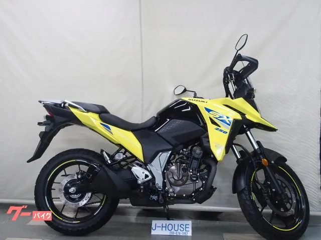 Suzuki V- 250SX 2023 — фото 1, купить с доставкой в Москву
