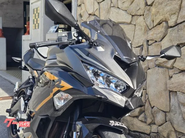 Kawasaki Ninja ZX-25R SE 2023 — миниатюра 2