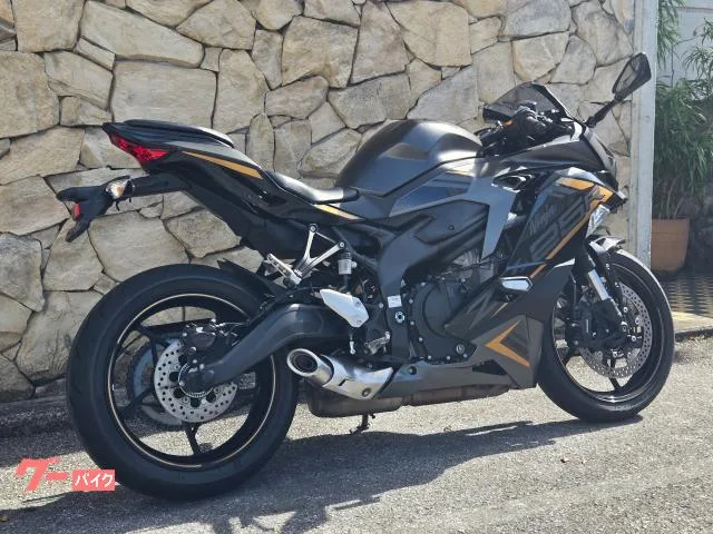 Kawasaki Ninja ZX-25R SE 2023 — миниатюра 3