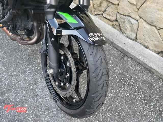 Kawasaki Z250 2023 — миниатюра 2
