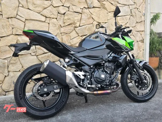Kawasaki Z250 2023 — миниатюра 3