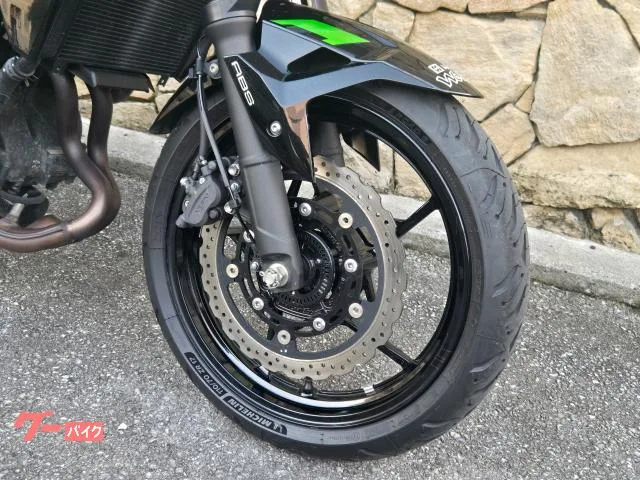Kawasaki Z250 2023 — миниатюра 4