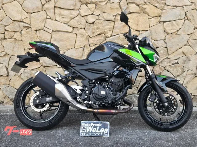 Kawasaki Z250 2023 — фото 1, купить с доставкой в Москву