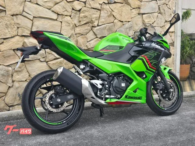 Kawasaki Ninja 250 2023 — миниатюра 3