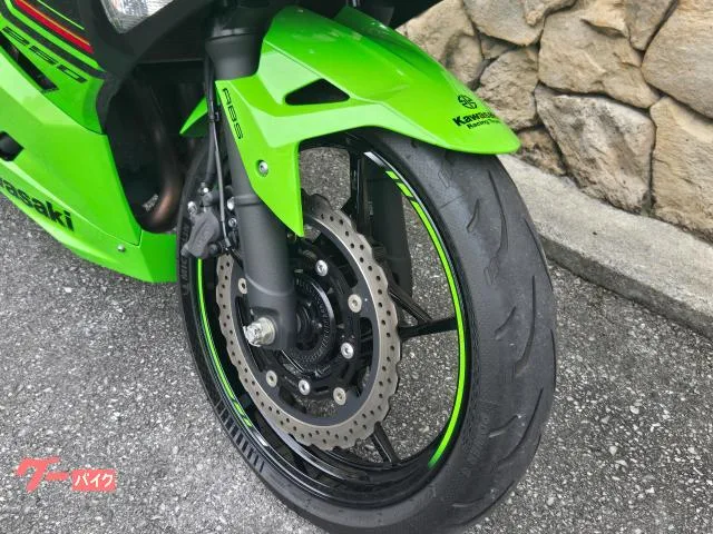 Kawasaki Ninja 250 2023 — миниатюра 4