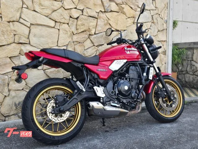 Kawasaki Z650RS 2024 — миниатюра 3