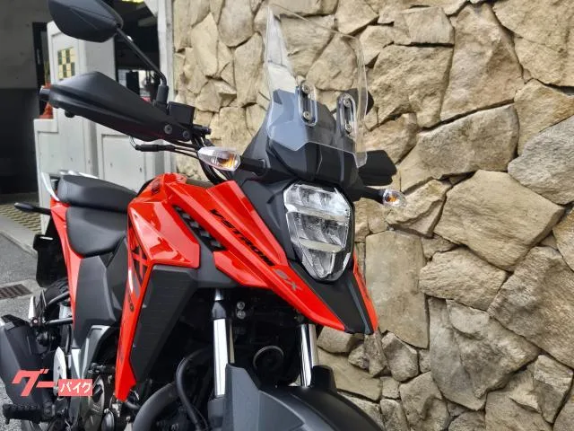 Suzuki V- 250SX 2024 — миниатюра 2