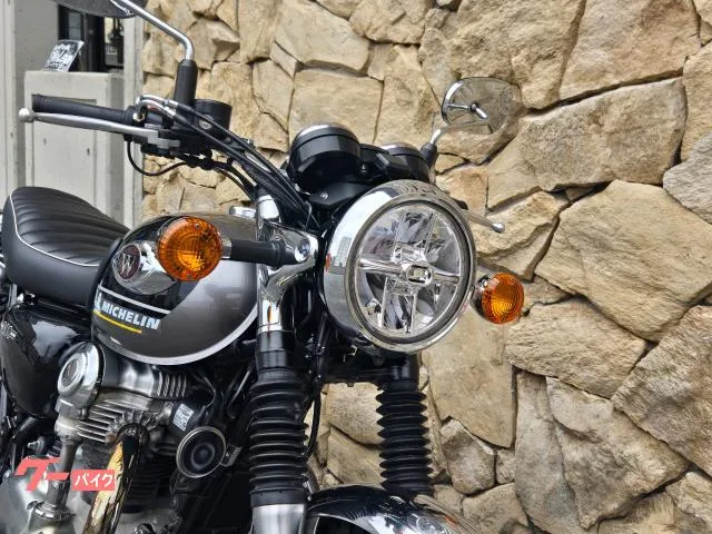 Kawasaki W800 2024 — миниатюра 5